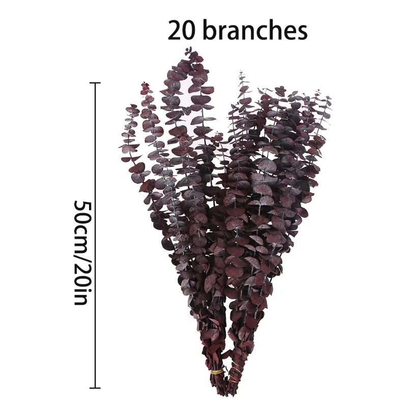 

20Pcs Preserved Fresh Eucalyptus Branches Dried Stems Plant Leaves Bouquet Decor Dropshipping