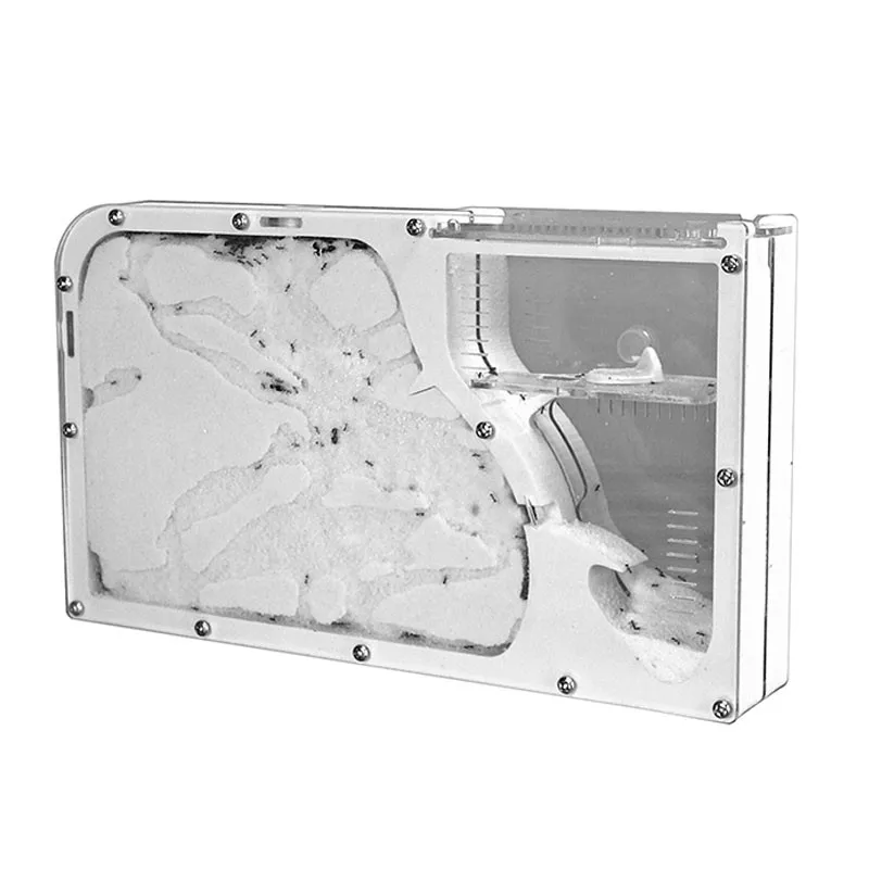 Муравьиное гнездо для большого формикариума муравьиная ферма акриловые