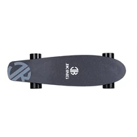 newest model electric skateboard 350w hub motor fish board for youth surf skateboard