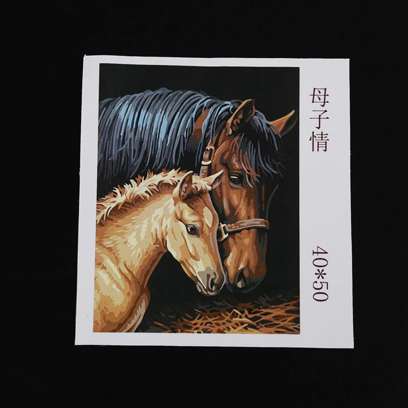2 комплекта DIY картина маслом по номерам-лошади-для взрослых девочек Дети Белый