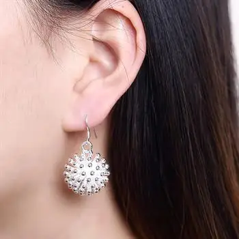 

Fireworks earrings simple Fashion Silver Earrings E114 LKNSPCE114