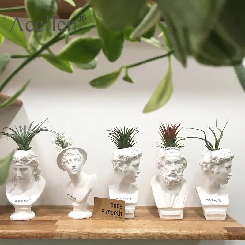 Венера модель цветочный горшок настольная имитация композиция контейнер