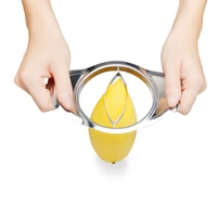 lohas stainless apple cutter new high quality apple corer pear slicer fruit mango cutter divider slicer tool kitchen accessories