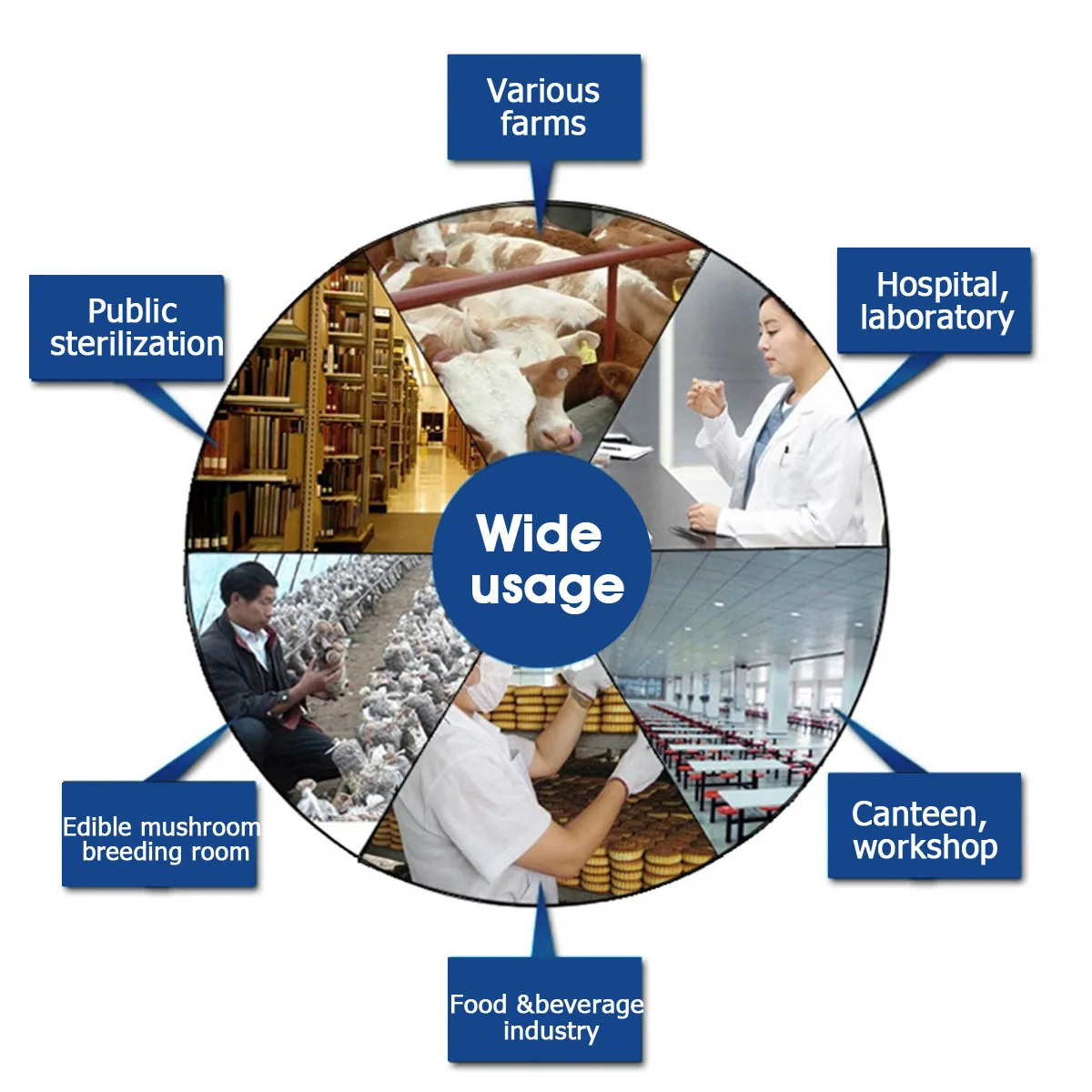 

220V 3.5g/5g/7g/10g/35g EU/US Plug Ozone Generator Air Purifiers Disinfection Machine Air Cleaner Sterilization Machine