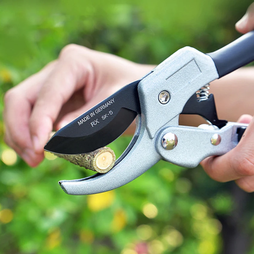 Профессиональные садовые ножницы для резки веток и фруктов|Инструменты обрезки|