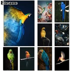 Hummingbird постер попугая Blue Gold животное холст искусство абстрактные декоративные картины скандинавский поп украшение детской комнаты HD картина