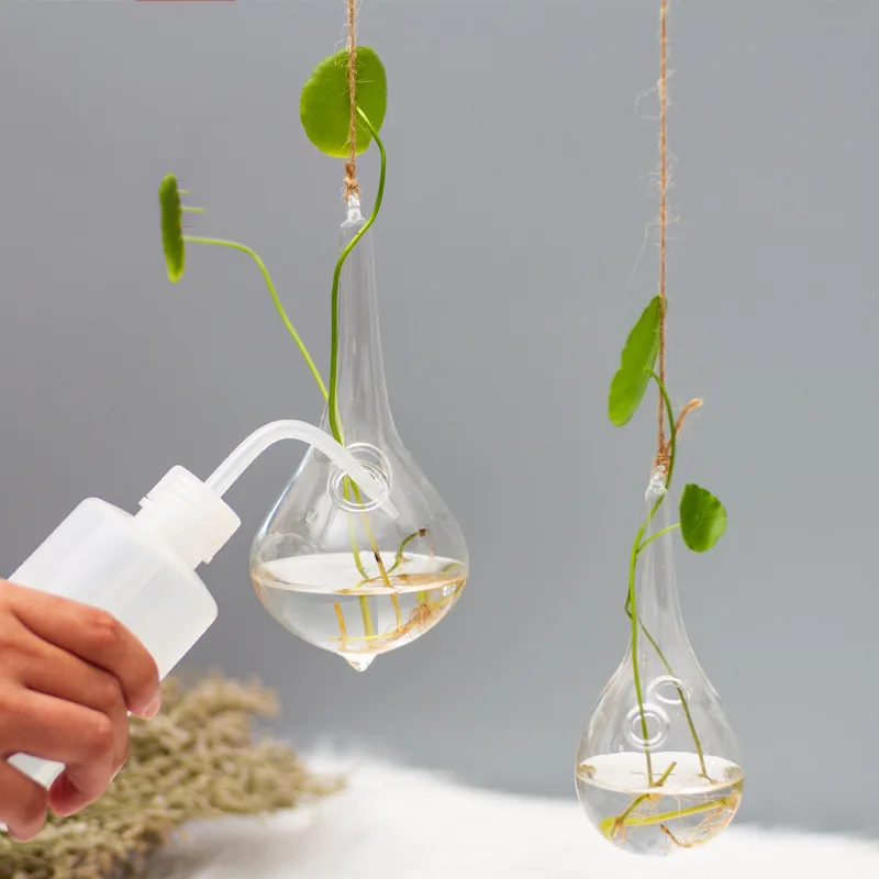 Подвесная стеклянная ваза цветочные горшки гидропоника для растений украшение