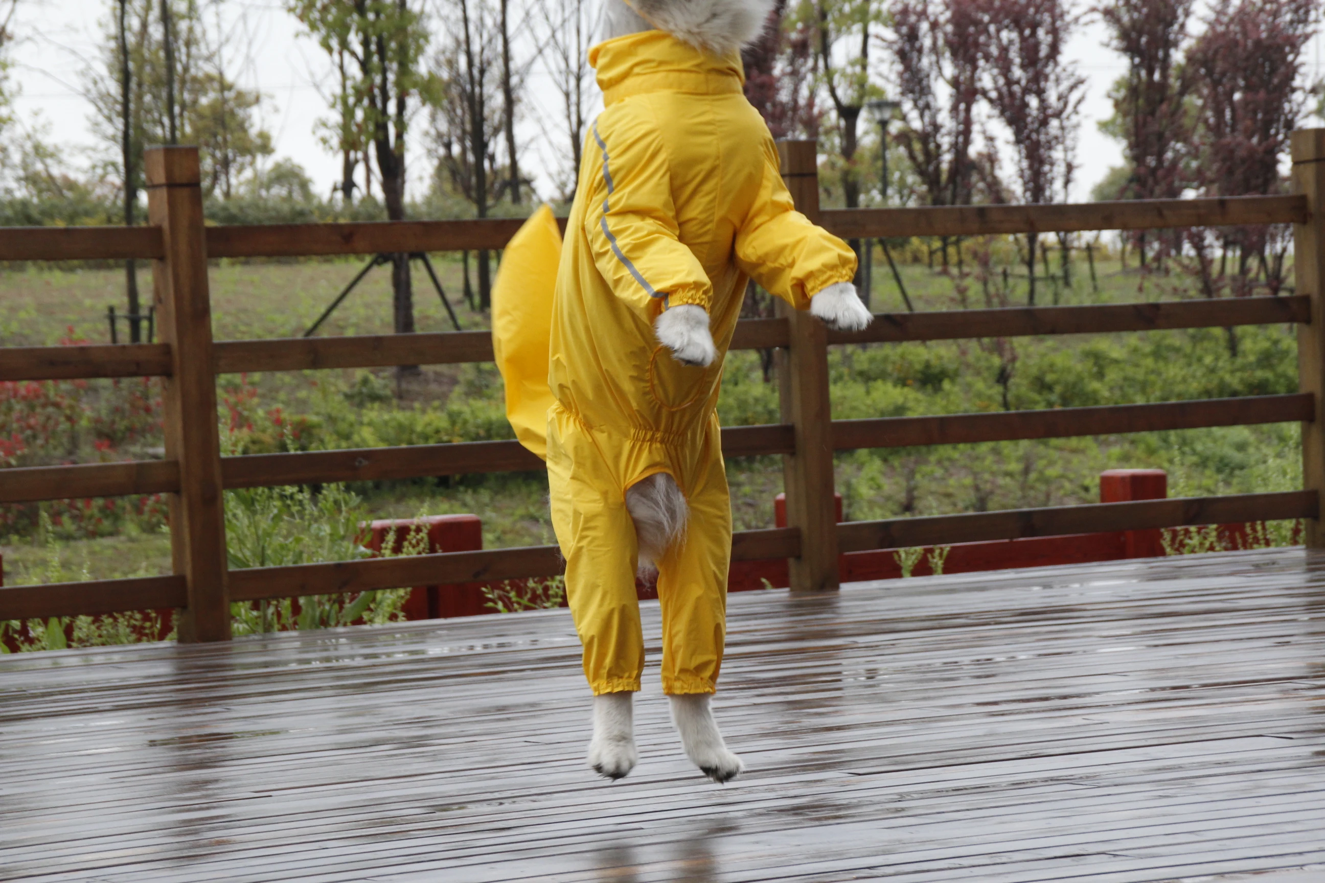Chubasquero grande para perro, chaqueta impermeable de poli&eacute;ster a rayas reflectantes de seguridad para Golden Retriever, Labrador Husky 8XL-12XL-3