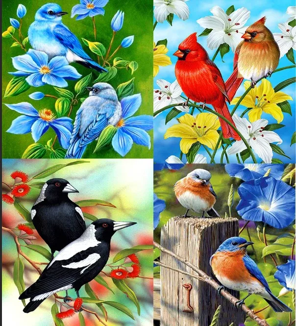 

Embroidery diamond DIY Diamond Painting Birds Flowers Animal Mosaic Embroidery Cross Stitch Embroidery Crafts Home Wall Decor