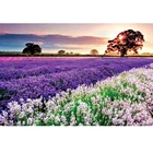 1000 штук Бумага Пазлы мини интеллигентая (ый) развивающая игрушка бледно-лиловый сборки изображения, игрушка для снятия стресса, игрушки