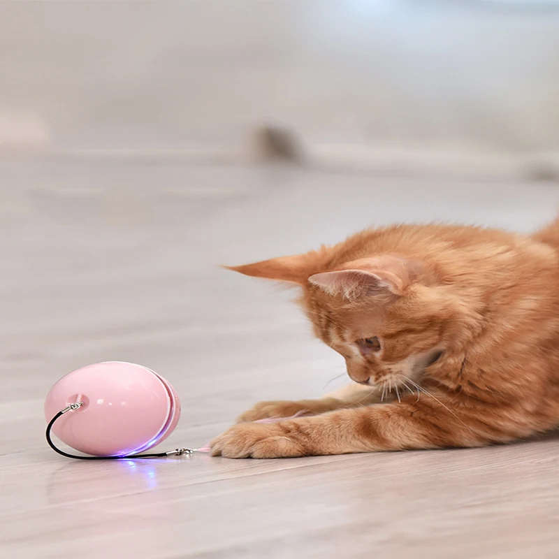 

Pet cat toys LED light-emitting Teaser ball USB charging intelligent Teaser toy electric rolling ball pet products
