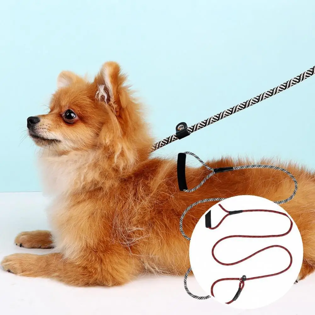 

Wear-resistant All-matched Small Large Dog Nylon Pet Leash for Travel