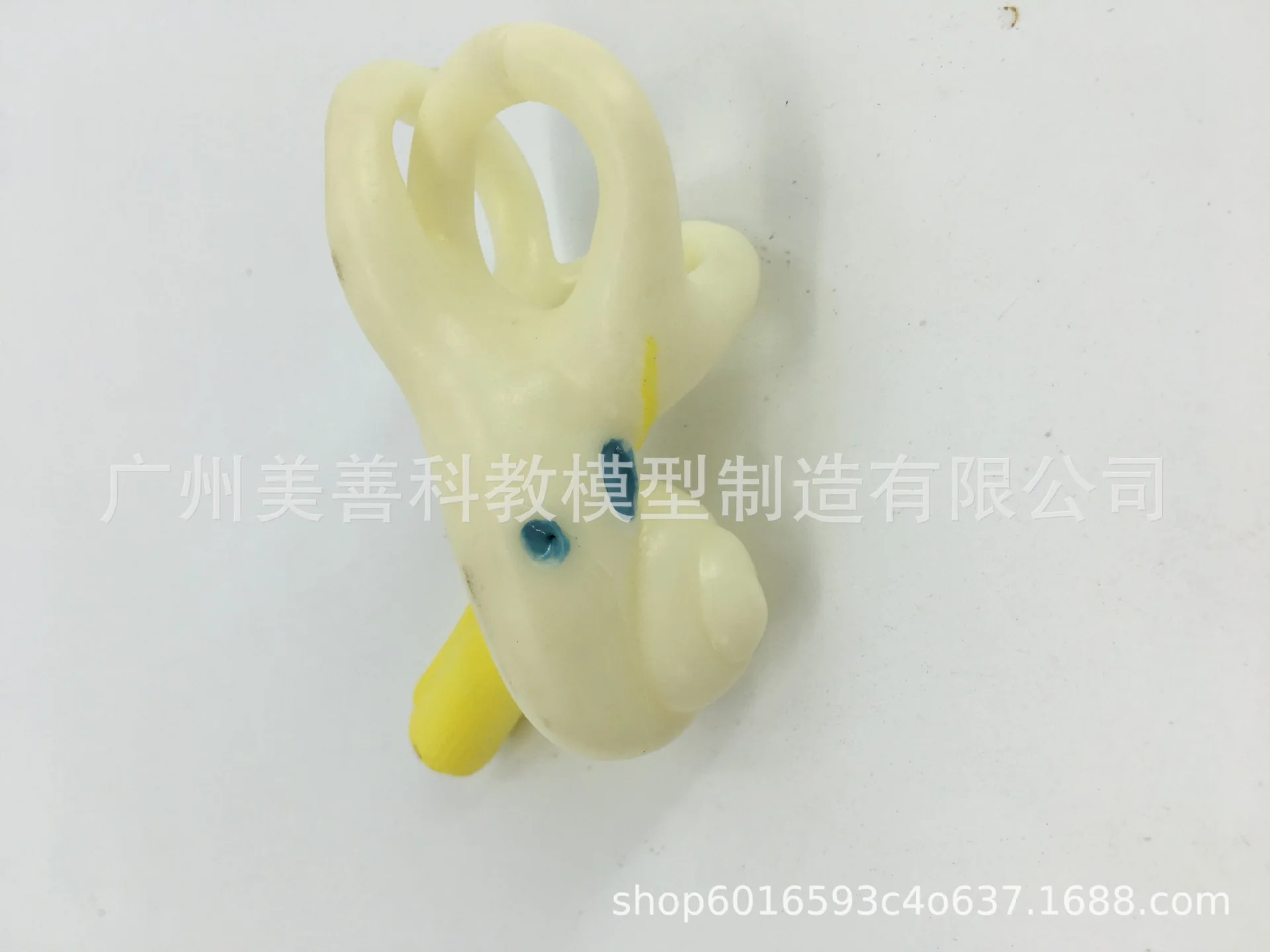 Медицинская модель для ушей Анатомия человека семикулярный канал кохлеарного