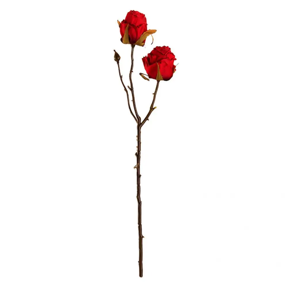 

Vivid Faux Silk Flower False Rose Flower with 2 Heads for Household