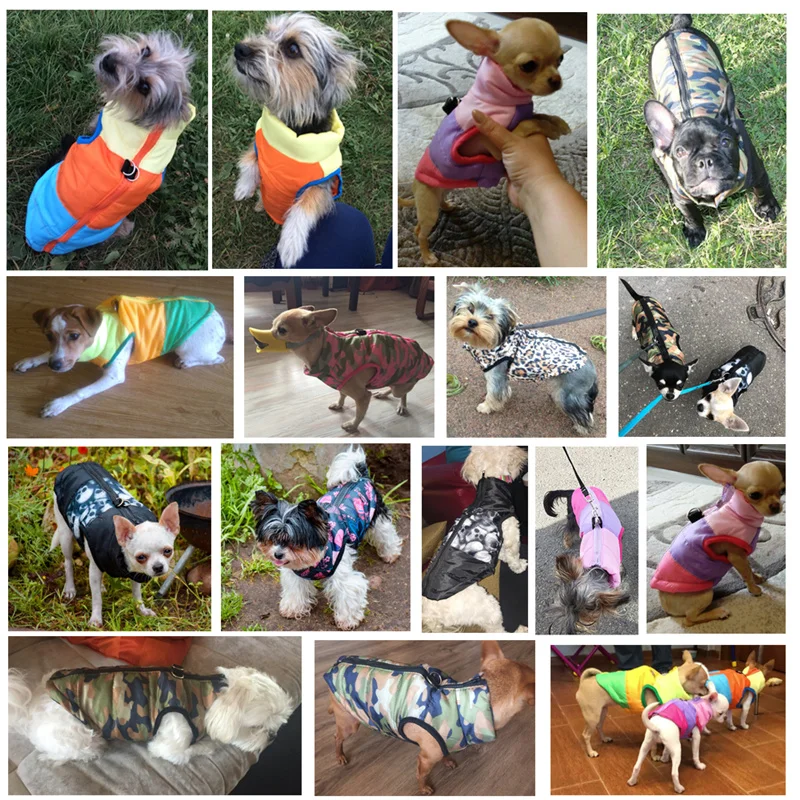

Warm Dog Clothes For Small Dog Windproof Winter Pet Dog Coat Jacket Padded Clothes Puppy Outfit Vest Yorkie Chihuahua Clothes 35