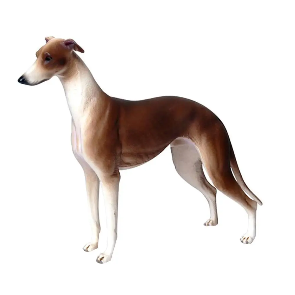 

20cm Simulation Greyhound Animal PVC Model Action Figure Figurine Kids Toy Home Decor Tabletop Ornaments Crafts