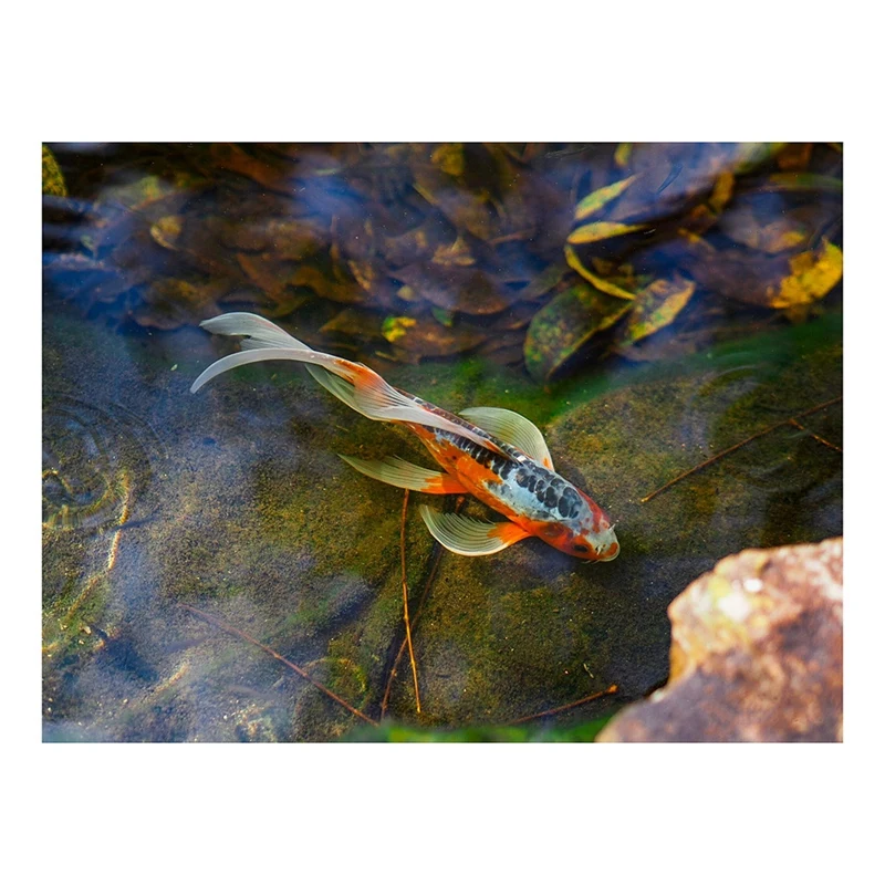 

Алмазная живопись «сделай сам», полностью Алмазная круглая вышивка a Koi 30x40 см, вышивка крестиком, украшение для дома