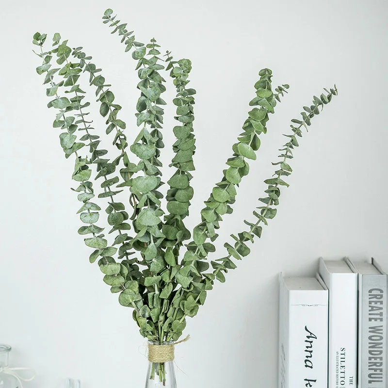 10 шт. натуральные листья эвкалипта настоящие растения Свадебный декор стебли