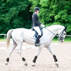 Прочный защитный ботинок нога лошади из полиуретана эластичный ремешок открытый передний защитный кожух уличные аксессуары для гонок лошадей чехол для ног