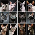 Картина на холсте, размер 5D, алмазная живопись, набор, полный квадрат, Сфинкс, кот, алмазная вышивка, бисер, набор, мозаика, животные, картина, стразы