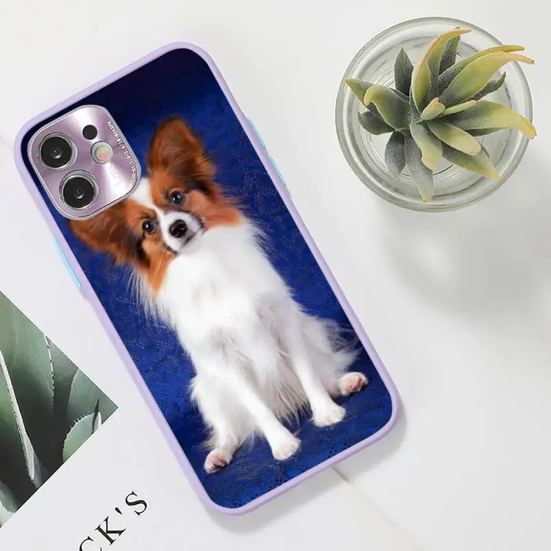 

Cute animal papillon Phone Case For iPhone 12 11 Mini Pro XR XS Max 7 8 Plus X Matte transparent Purple Back Cover