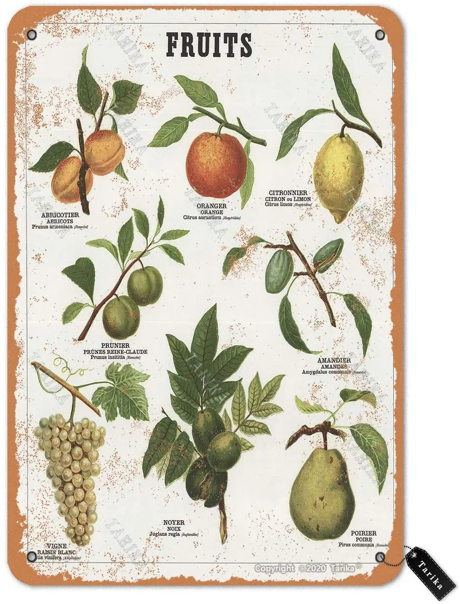

Tarika Fruits Retro Look Tin20X30 Decoration Art Sign for Home Kitchen Bathroom Farmhouse Coffee Bar Funny Wall Decor