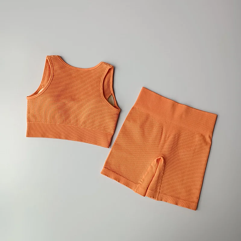 Seamless Women Yoga Set  Gym Clothing Ribbed Workout Set Tracksuits Fitness Sports Bra Top Vest High Waist  Shorts Sports Suits
