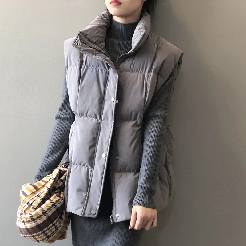 Women's Winter Jacket Women 2021 New Korean Style Solid Color Stand-up Collar Cotton Horse Fashion Sleeveless Loose | Женская одежда