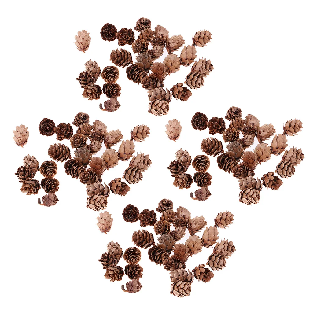 120 шт. мини природные сосновые шишки декоративные шишка поделки для дома вечерние