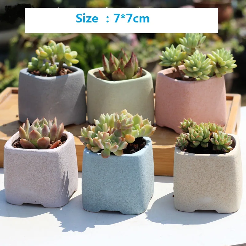 6 шт./компл. Керамика цветочный горшок для суккулентов с джинсы прорехами