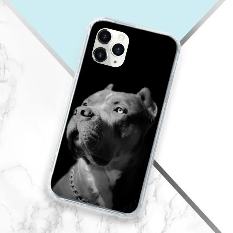 

Black White Pit Bull Lovely Pet Dog Phone Case Transparent for iPhone 11 12 mini pro XS MAX 8 7 6 6S Plus X 5S SE 2020 XR