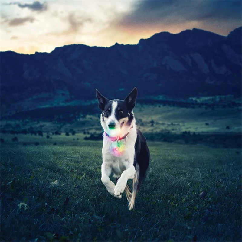 Benepaw Durable LED Activation Dog Ball Auto Shut-off Nontoxic Bouncy Slobber Proof Small Medium Large Toys Interactive | Дом и сад
