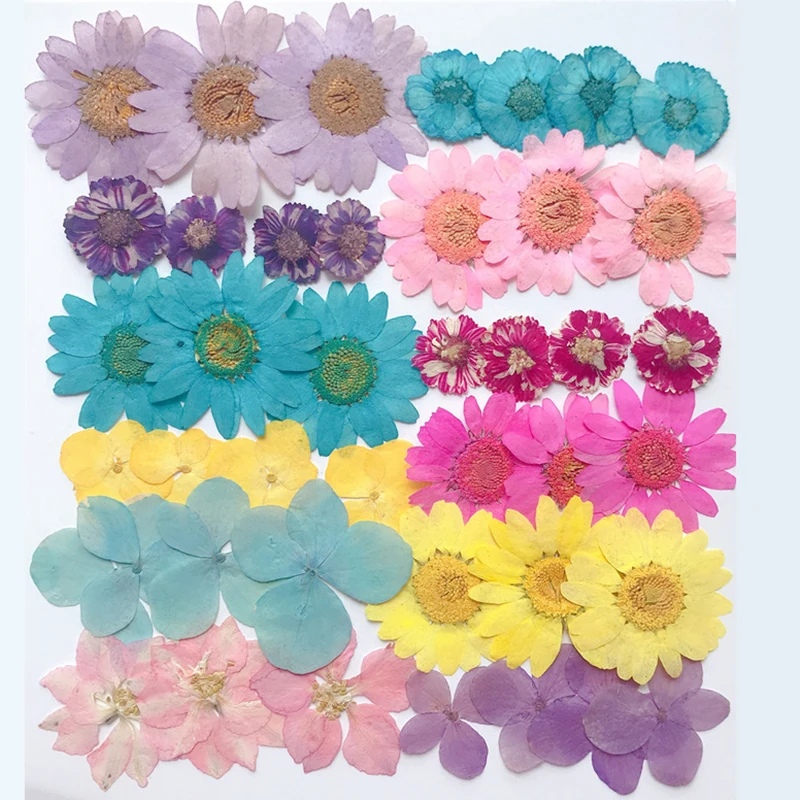 1Bag Real Dried Flowers Mixed Materials Epoxy Resin Mold Decoration Fillings For Jewelry Making DIY Resin Crafts Accessories