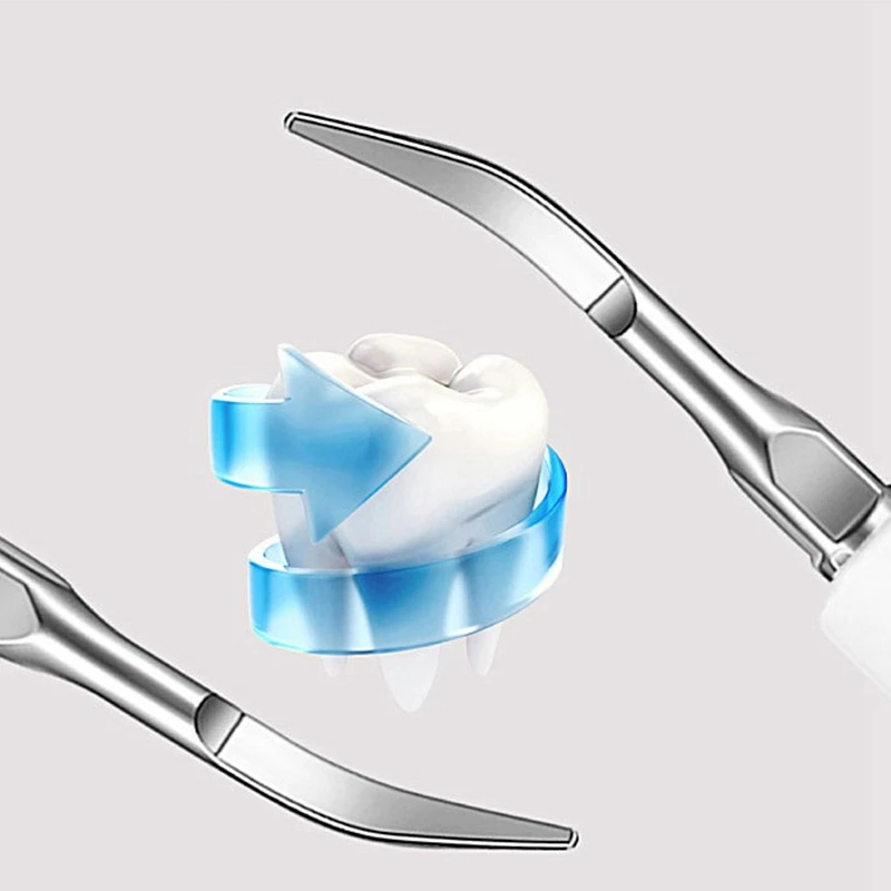

Electric Toothbrush 2 in 1 Sonic Vibrition Remove Calculus Tartar Scaler Whiten Teeth Replaceable Head