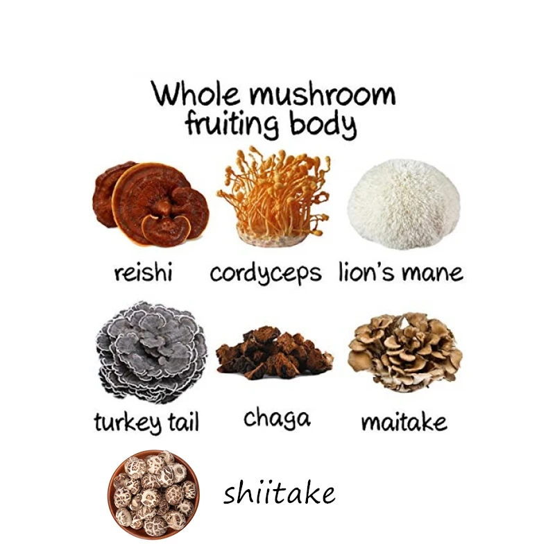 7 гриб комплекс Chaga Cordyceps Reishi Львиная Грива Maitake турция хвост Shiitake|Блестки для тела|