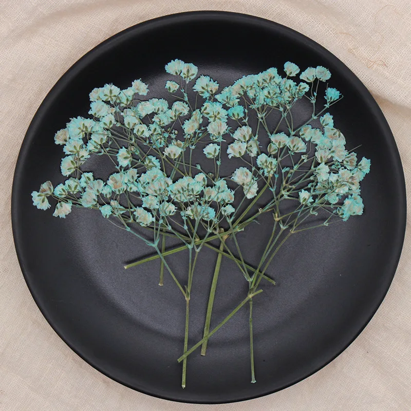 Натуральные сушеные цветы тиснение Botany образец Diy клей ручной оболочки Ароматерапия Свеча фоторамка активность материал наука - Цвет: Dyeing Light Blue