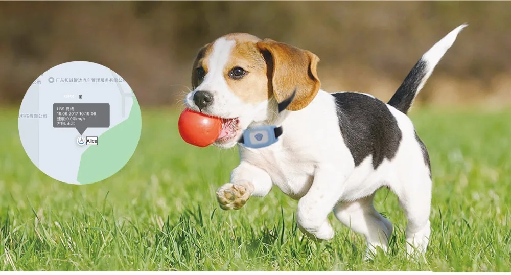Pet Gps ошейник для собак IP67 Водонепроницаемый кот собака животное трекер ночной светящийся ошейник отслеживающее устройство