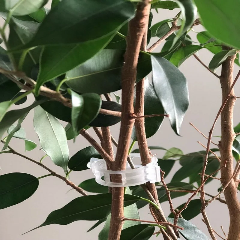 Зажимы Пластиковые Многоразовые для растений 25 мм 50 шт. |