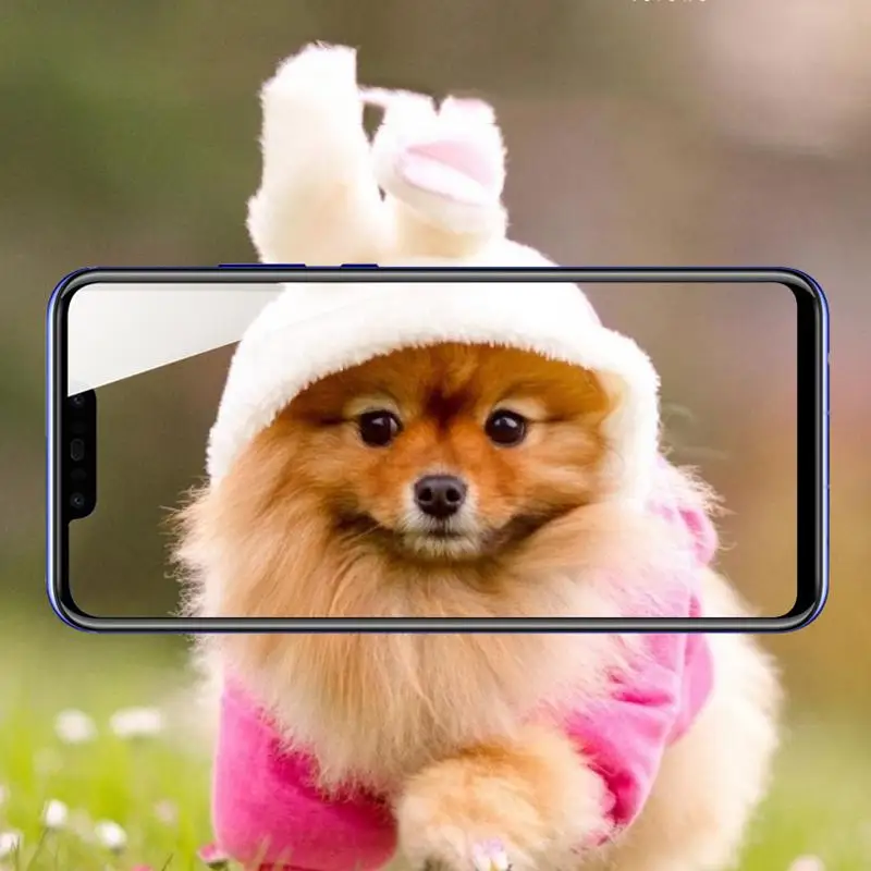2 шт. закаленное Стекло для huawei P Smart P20 P30 Lite Honor 20 Pro 10i 20i 10 9 8 Lite 8X 8C 8A 8S 9D Полный крышка защитная Пленка чехол