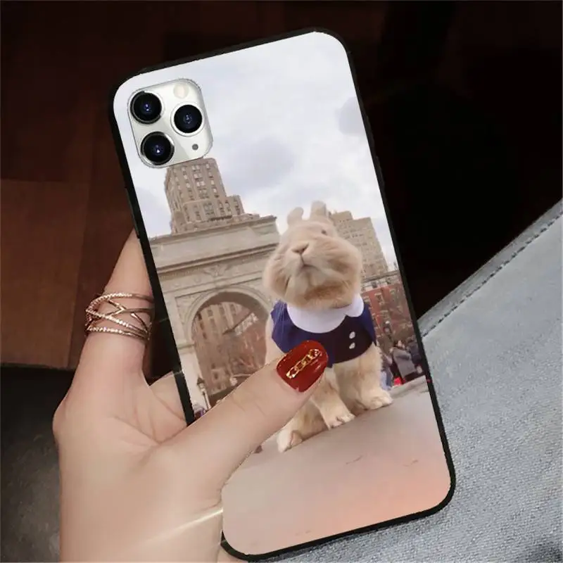 

Animal bunny cute and cute Phone Case for iPhone 11 12 pro XS MAX 8 7 6 6S Plus X 5S SE 2020 XR