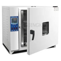 electro thermal blast drying box 220v constant temperature laboratory test equipment hot air circulation whole grains dryer