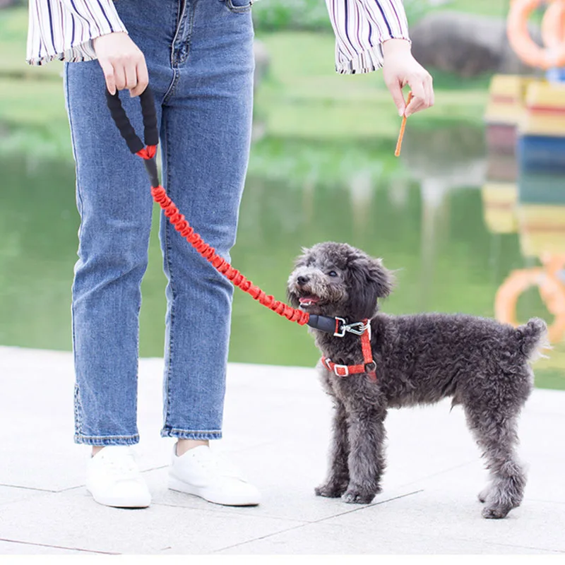 

Reflective Dog Traction Rope Stretch Dog Leash Rope Nylon Walking Training Pet Belt Glow In the Dark Puppy Suppliers поводок