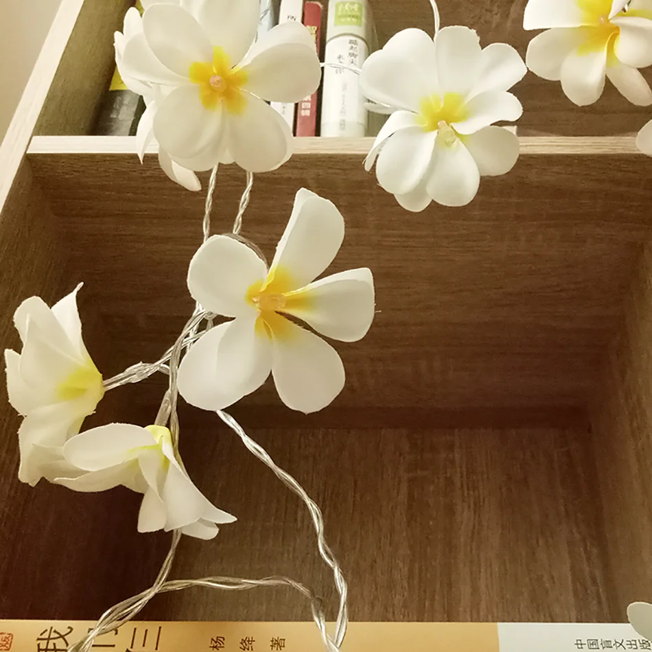 Гирлянда frangipani, 5 метров, 40 светодиодов, светильник-Гирлянда для мероприятий, вечерние украшения, ваза, цветочный светильник, декоративный, новогодний струнный светильник