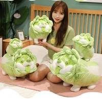 60cm cute japanese vegetable dog plush toys creative chinese cabbage shiba inu pillow stuffed animal sofa cushion baby gifts