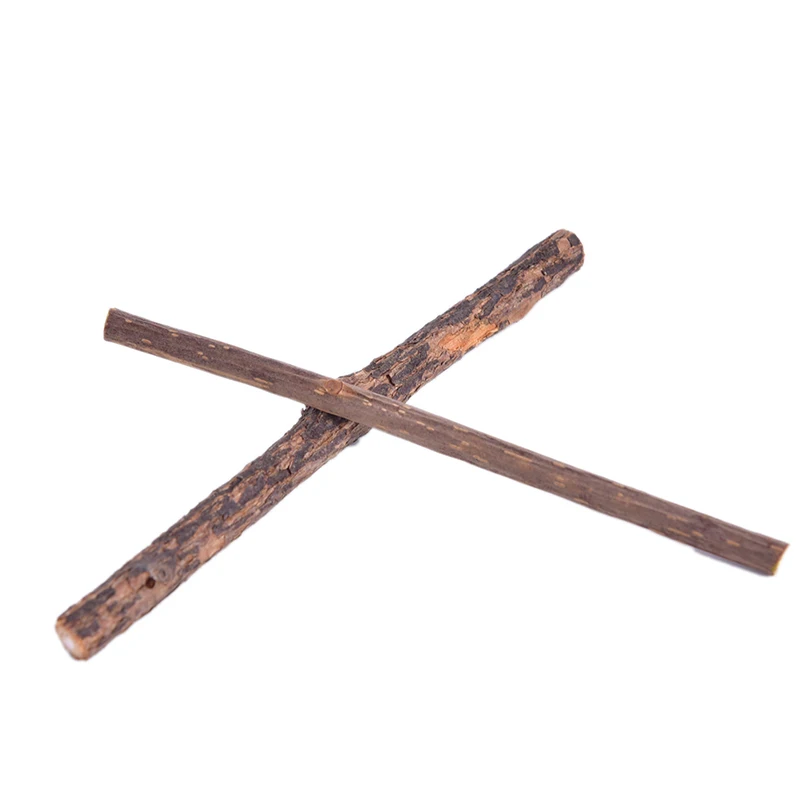 

5PCS Natural Catnip Pet Cat Molar Toothpaste Stick Matatabi Actinidia Fruit Silvervine Cat Snacks Sticks Pet Cleaning Teeth