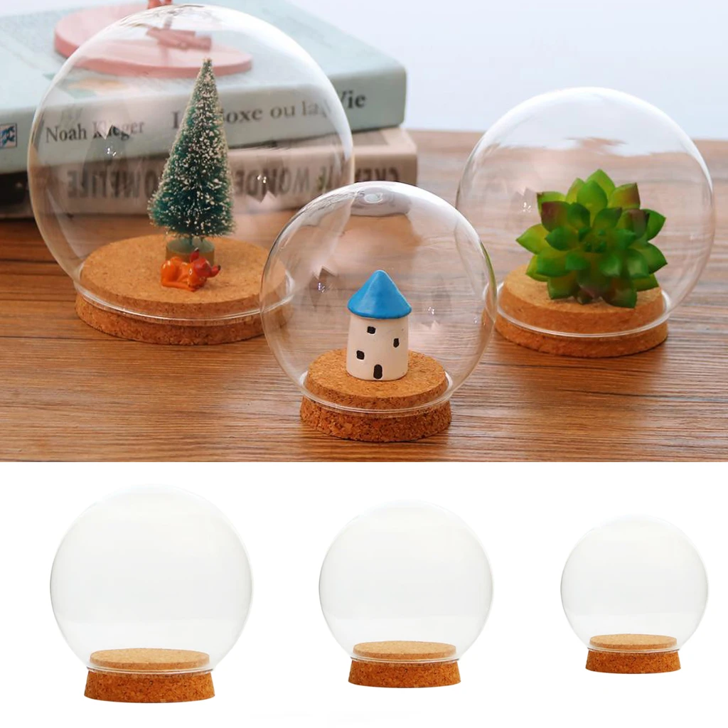 

Clear Glass Cloche Globe Display Dome With Wooden Base Dried Flower Vase Fairy