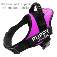 adjustable dog harness dog collar k9 vest customizable labels with custom labels sticker dogs pet supplies dropshipping