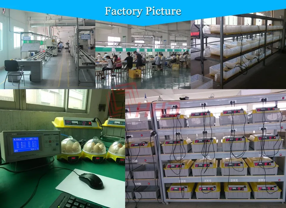 HHD Newest 4 Eggs Incubator Mini Hatchery Machine Automatic Digital Poultry Brooder Hatch For Chicken Duck Bird Pigeon Quail Egg