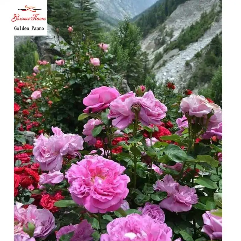 Diamond Painting Natural Wildflowers Square Diamond Embroidery Cross Stitch Rhinestone Decoration