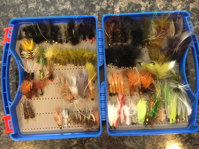 

Plastic Click Lock Dry Wet Nymph Streamer Flies Box Fly Carrying Case Fly Fishing Boxes